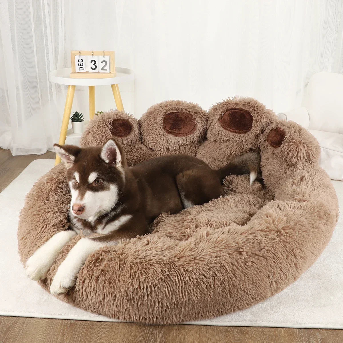 Soft Dog Beds